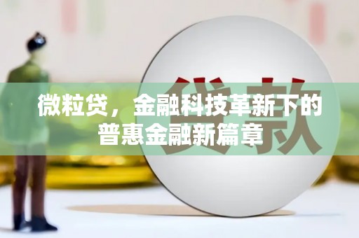 沽源微粒贷，金融科技革新下的普惠金融新篇章