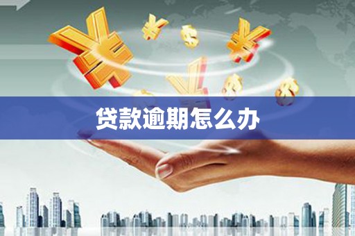 沽源贷款逾期怎么办