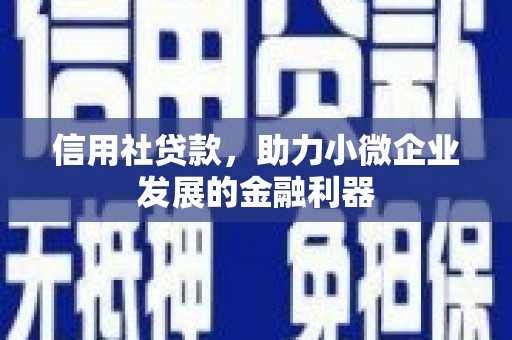 沽源信用社贷款，助力小微企业发展的金融利器