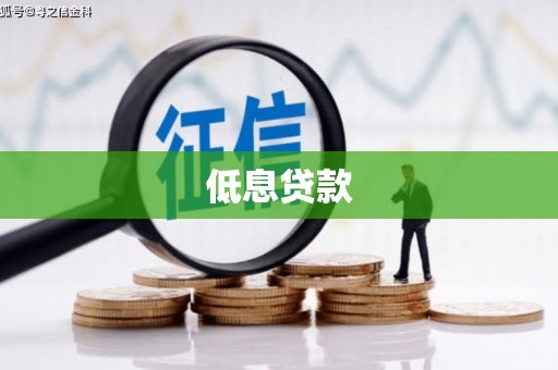 沽源低息贷款