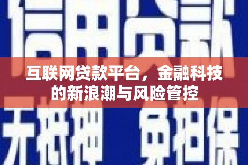 沽源互联网贷款平台，金融科技的新浪潮与风险管控