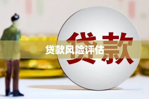 沽源贷款风险评估