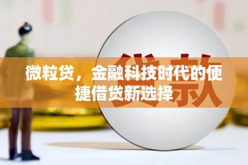 沽源微粒贷，金融科技时代的便捷借贷新选择