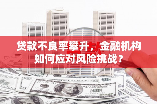 沽源贷款不良率攀升，金融机构如何应对风险挑战？