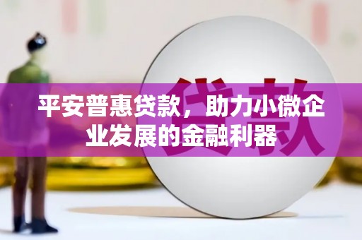 沽源平安普惠贷款，助力小微企业发展的金融利器