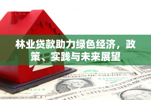 沽源林业贷款助力绿色经济，政策、实践与未来展望