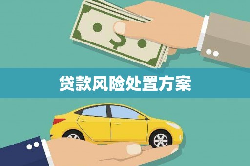 沽源贷款风险处置方案