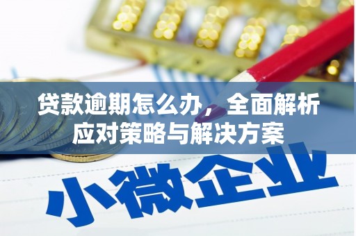 沽源贷款逾期怎么办，全面解析应对策略与解决方案