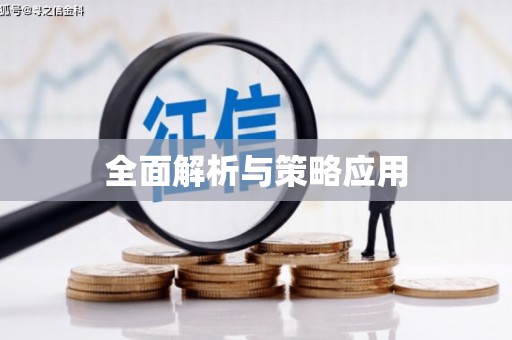 沽源全面解析与策略应用