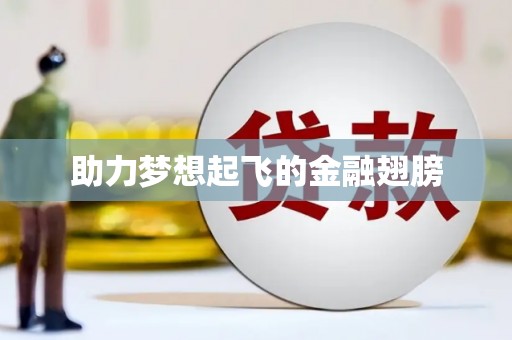 沽源助力梦想起飞的金融翅膀