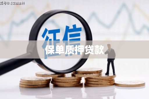 沽源保单质押贷款