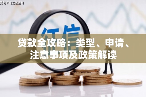 沽源贷款全攻略：类型、申请、注意事项及政策解读